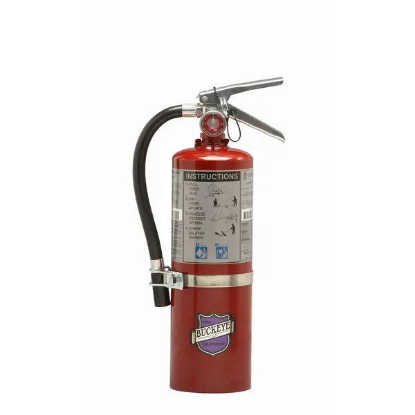 Buckeye 25914 Fire Extinguisher Purple K 5 lb. with Vehicle Bracket