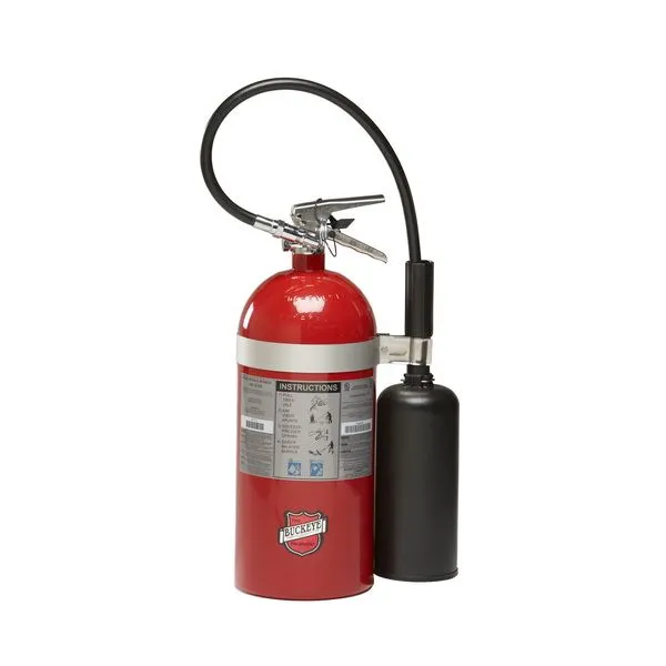 Buckeye 45600 Fire Extinguisher Carbon Dioxide 10 lb.